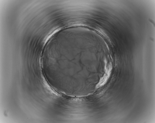 X0000102480806200808291626