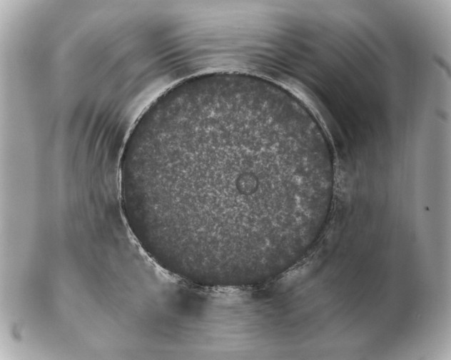 X0000102480807200808291626