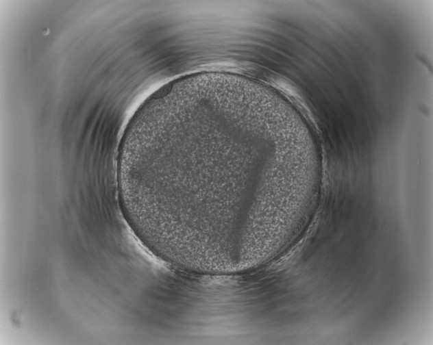 X0000102480808200808291626