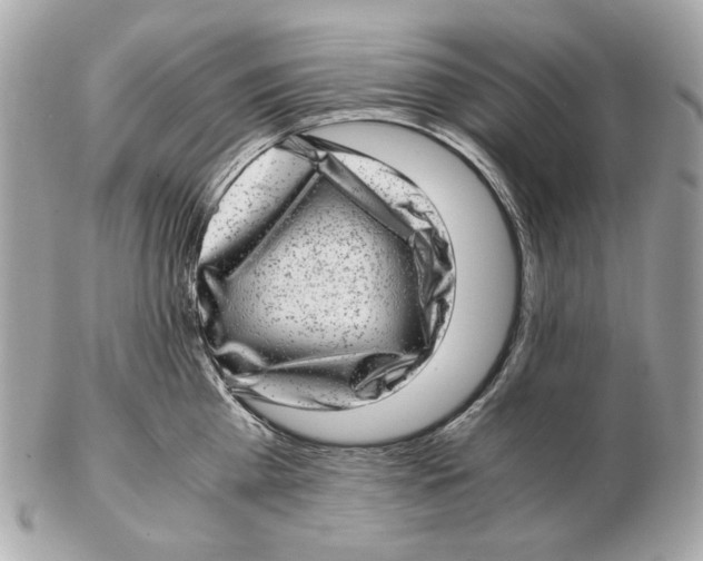 X0000102480809200808291626