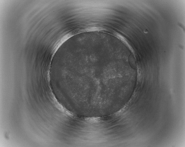 X0000102480810200808291626