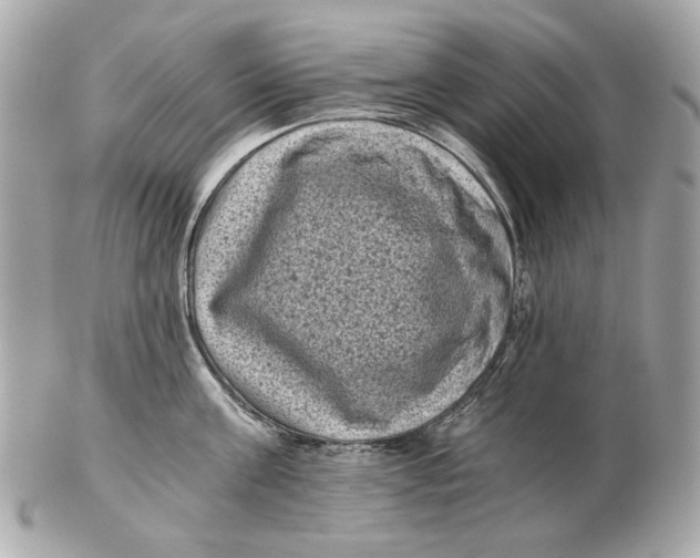 X0000102480811200808291626