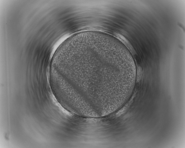 X0000102480812200808291626