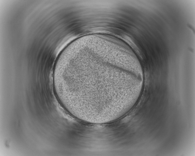 X0000102480814200808291625