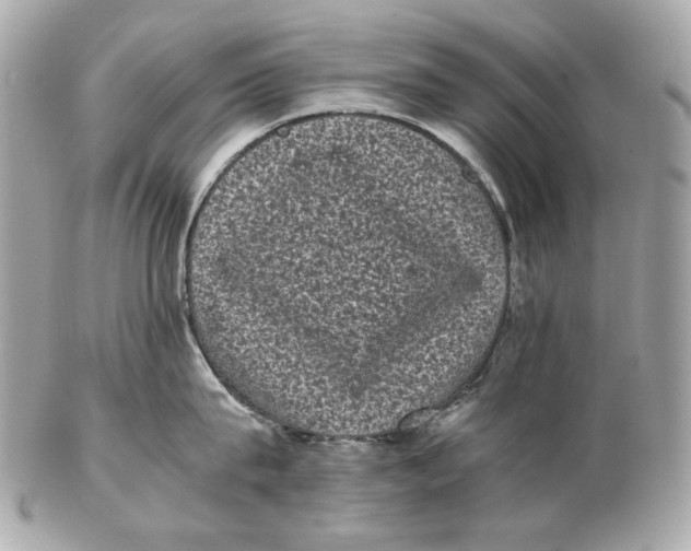 X0000102480815200808291625