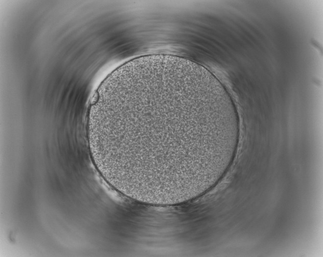 X0000102480816200808291625