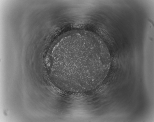 X0000102480817200808291625