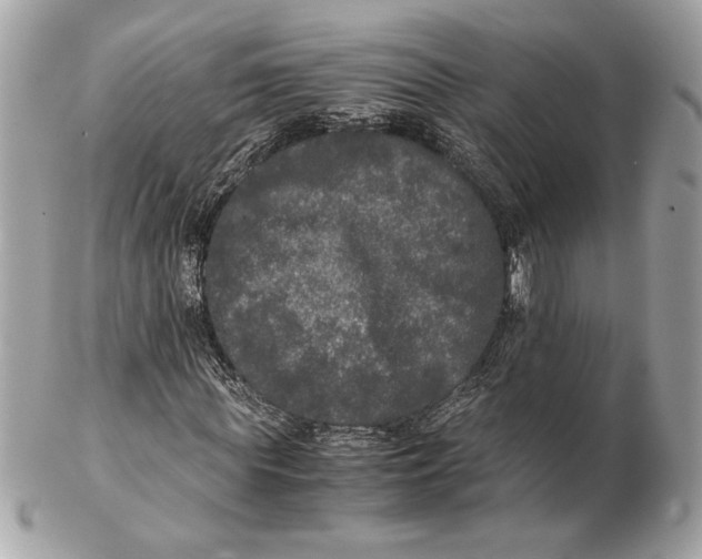 X0000102480819200808291625