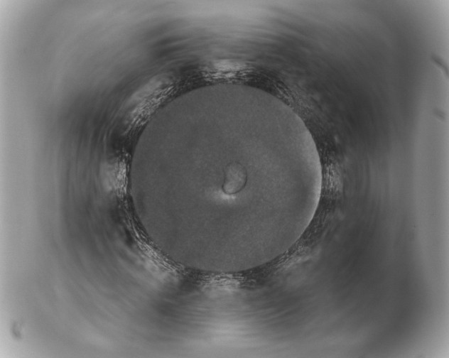 X0000102480820200808291625