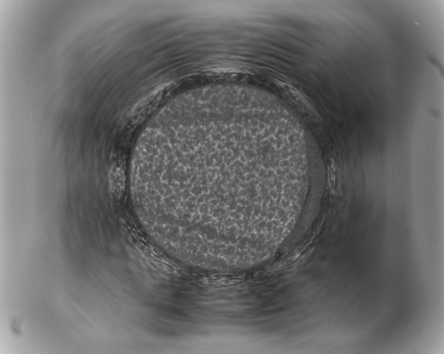 X0000102480821200808291625