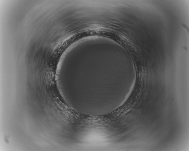 X0000102480822200808291625