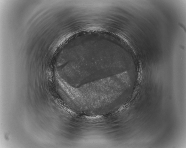 X0000102480823200808291625