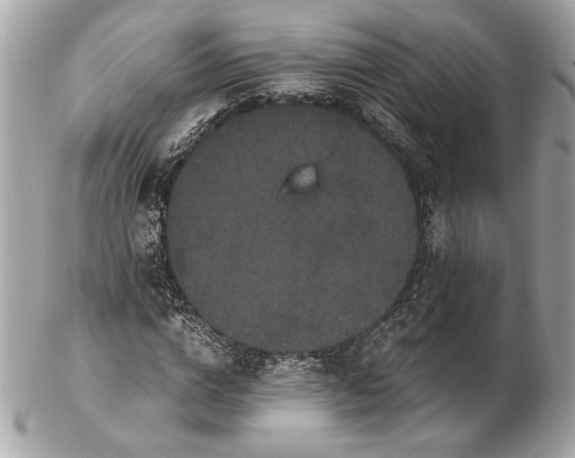 X0000102480824200808291625