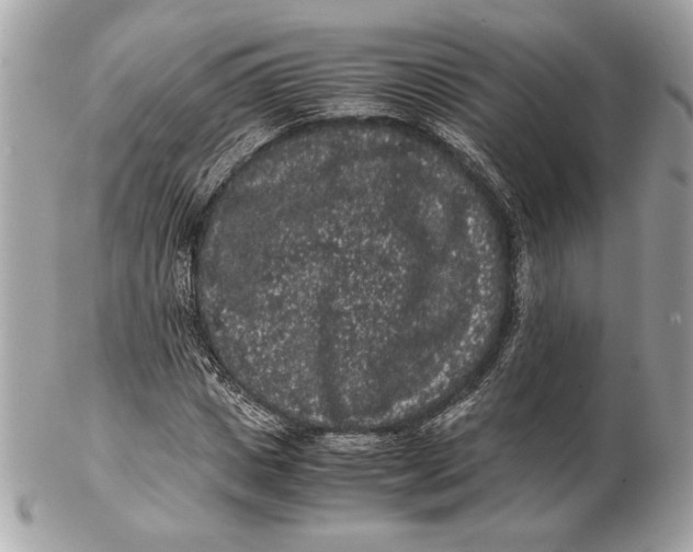 X0000102480825200808291625