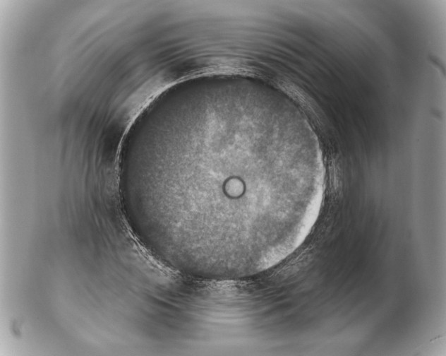 X0000102480828200808291625