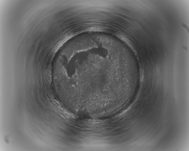 X0000102480829200808291625