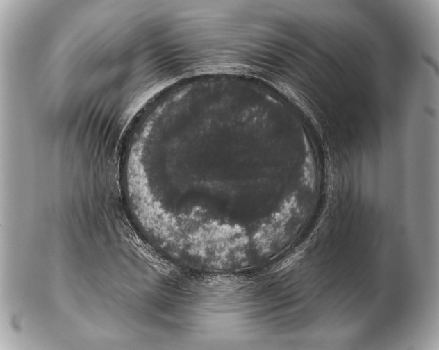 X0000102480830200808291625