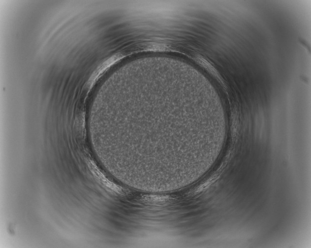 X0000102480831200808291625