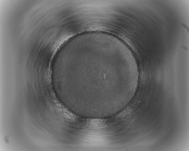 X0000102480832200808291625