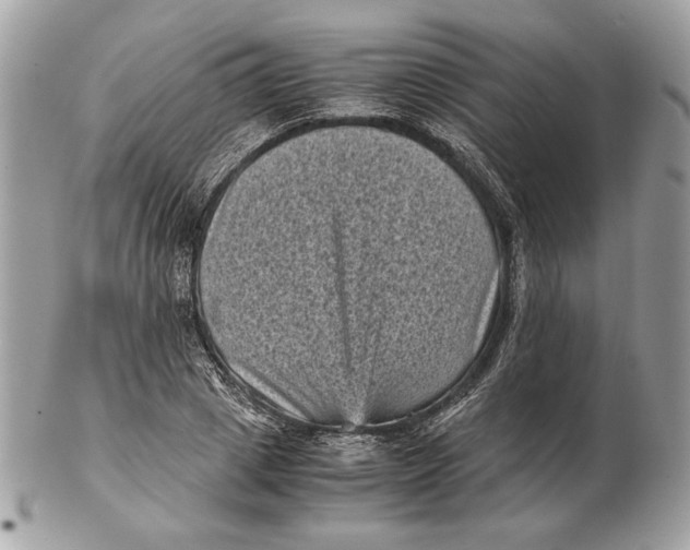 X0000102480833200808291625