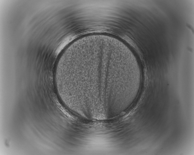 X0000102480834200808291625