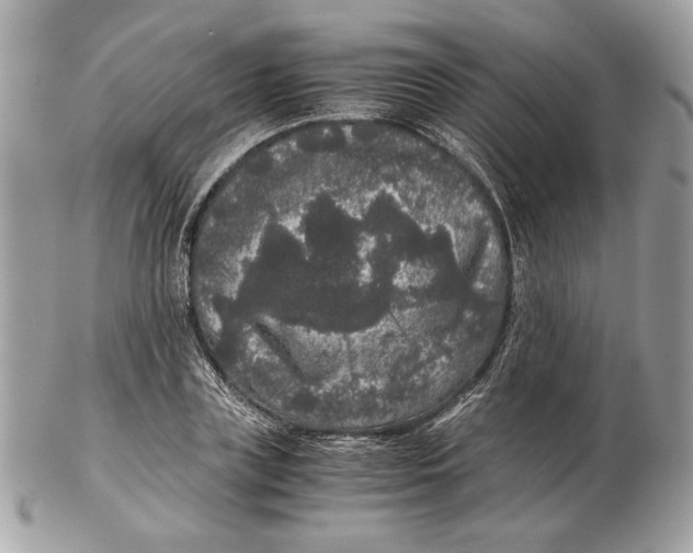 X0000102480835200808291625