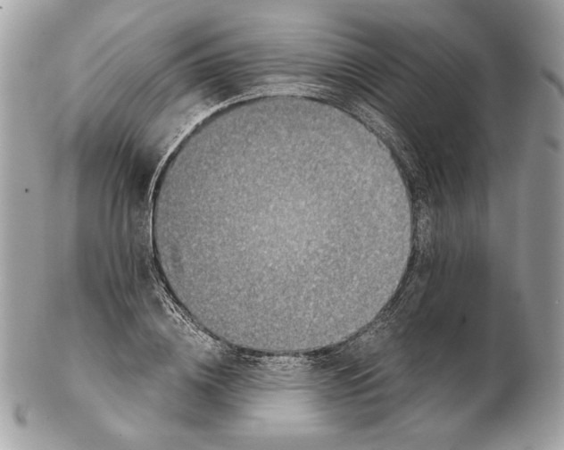 X0000102480836200808291625