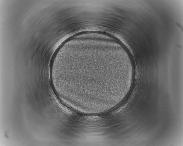 X0000102480837200808291625