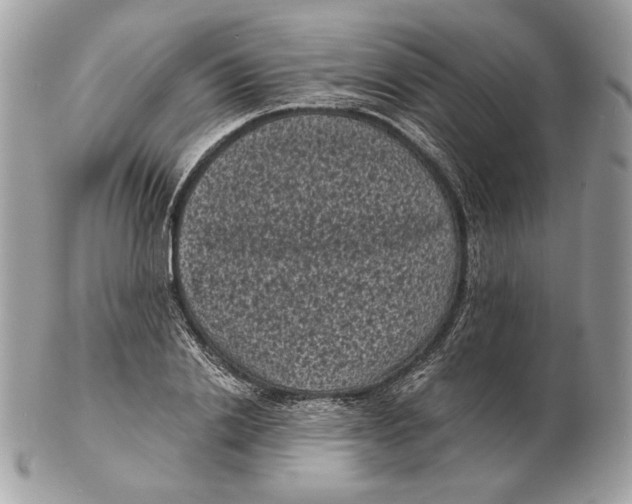 X0000102480838200808291625