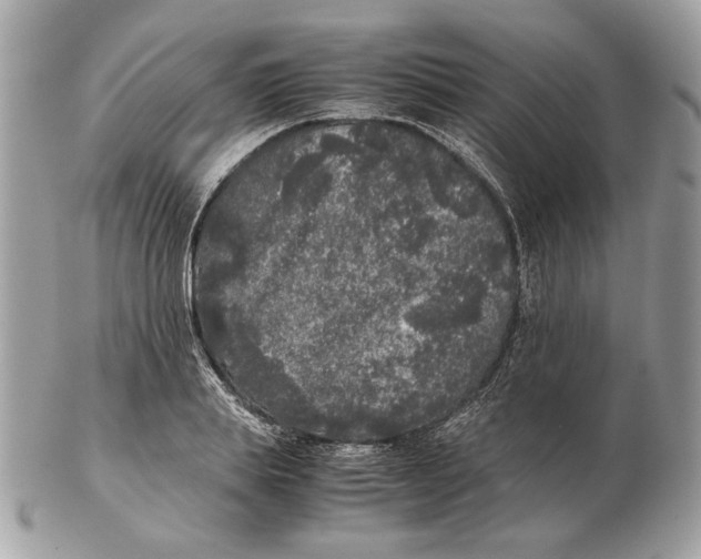 X0000102480839200808291625