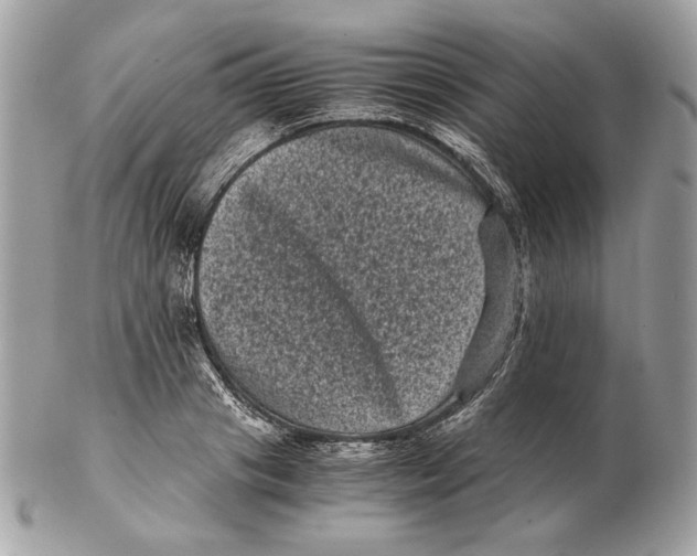 X0000102480841200808291625