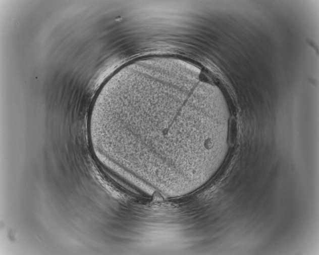 X0000102480842200808291625