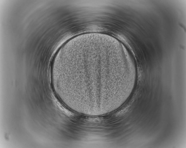 X0000102480843200808291625