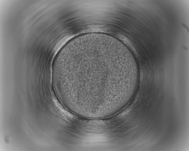 X0000102480844200808291625