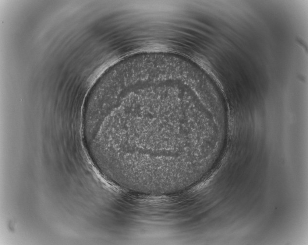 X0000102480845200808291625