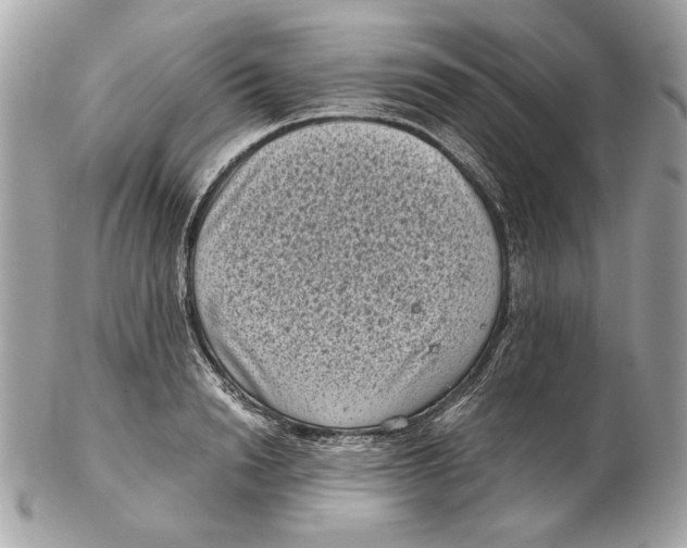 X0000102480846200808291625