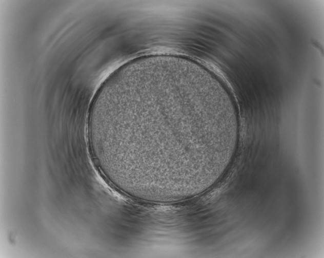 X0000102480847200808291625