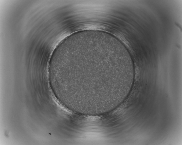 X0000102480848200808291625