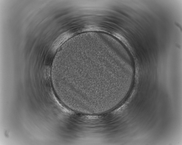 X0000102480849200808291625