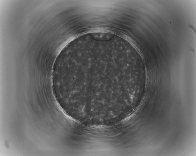 X0000102480853200808291625