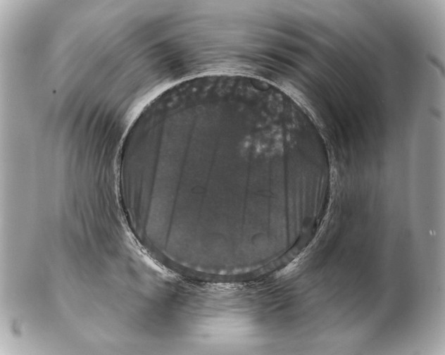 X0000102480854200808291625