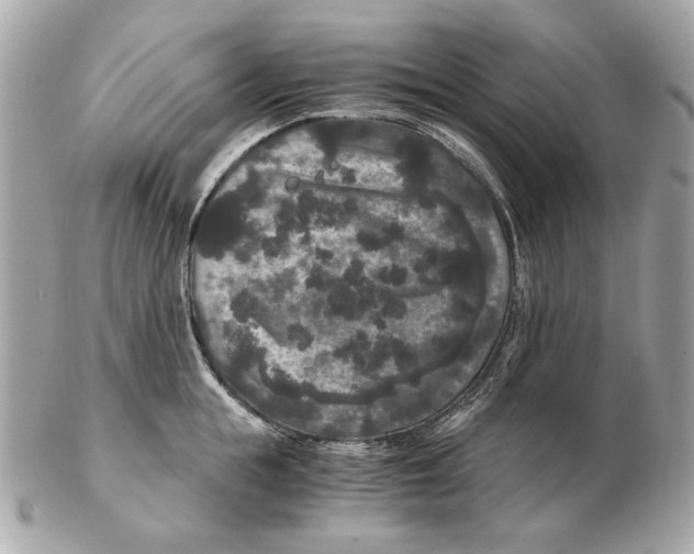 X0000102480855200808291625