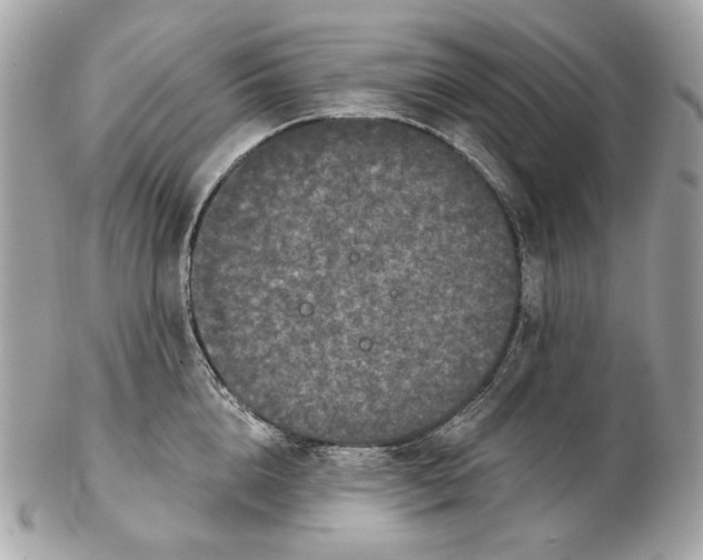 X0000102480856200808291625