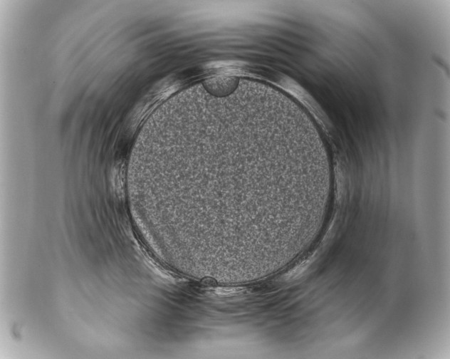 X0000102480857200808291625