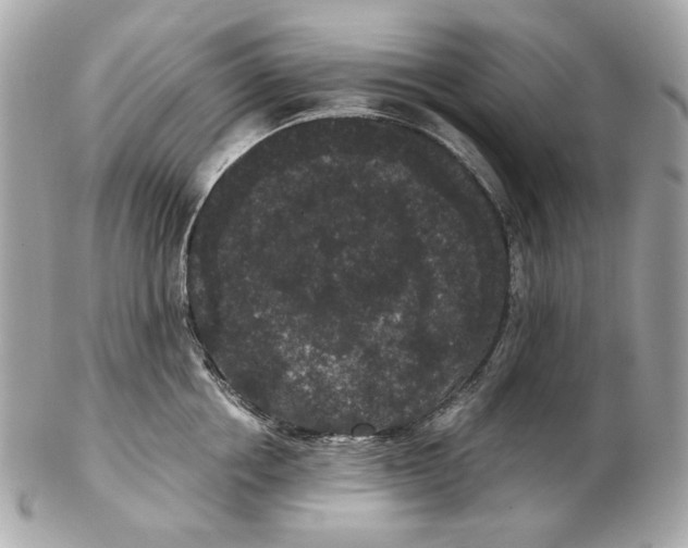 X0000102480858200808291625