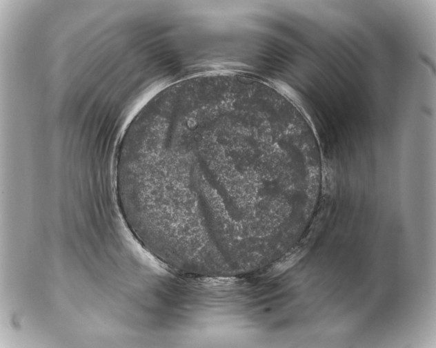 X0000102480859200808291625