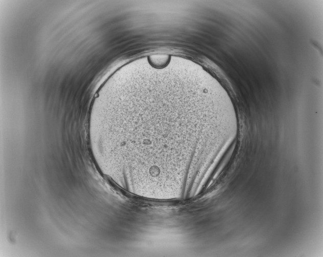 X0000102480860200808291625