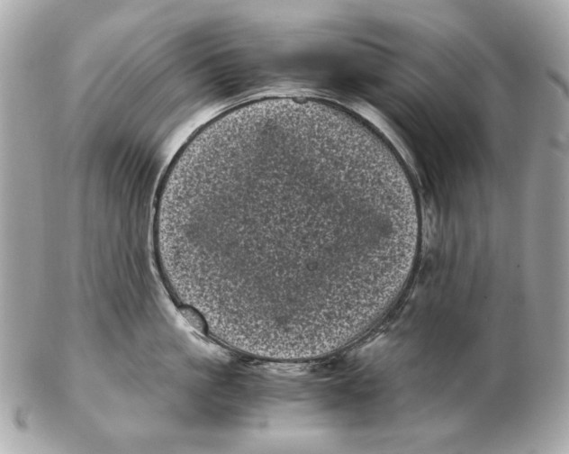 X0000102480861200808291625