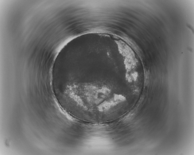 X0000102480862200808291625