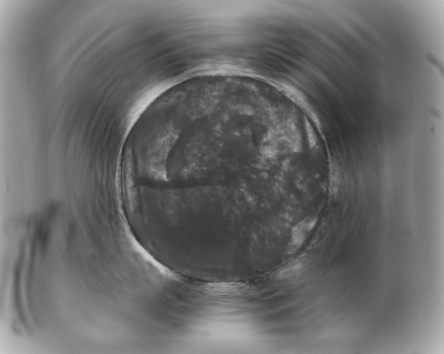 X0000102480863200808291625